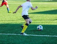 亚特兰大连,胜势头猛,意甲领跑,大众彩票,彩票平台,快速开奖,安全购彩,彩票服务