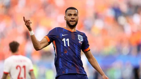 夜战足球激情李：力克挑战勇者无畏